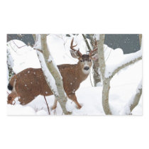 Deer Buck in Snow Rectangle Stickers