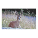 Deer Buck Lying Down Sticker