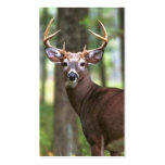 deer business card