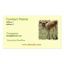 Deer Business Card