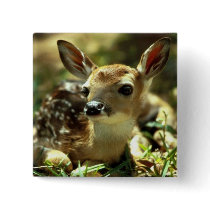 Deer Buttons
