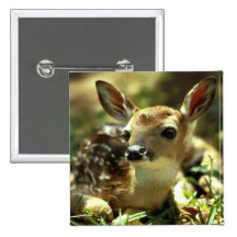 Deer Buttons