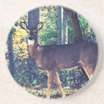 deer coaster