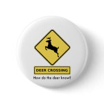 deer crossing