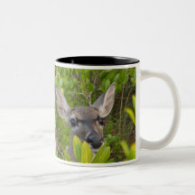 Deer, Deer Lover Gifts Mugs