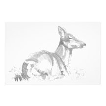 Deer Drawing Personalized Stationery