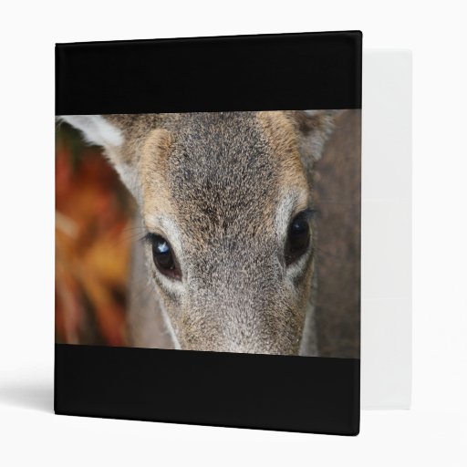 Deer Fawn Closeup Portrait Binder