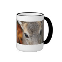 Deer Fawn Closeup Portrait Coffee Mugs