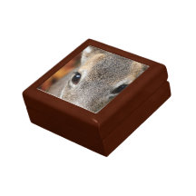 Deer Fawn Closeup Portrait Gift Boxes