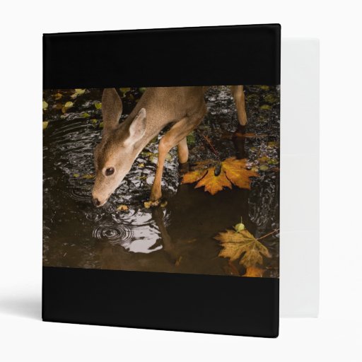 Deer Fawn in a Creek Vinyl Binders