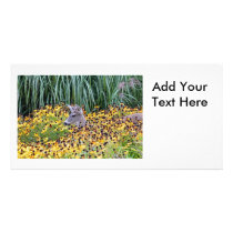Deer Fawn in Flower Garden Photo Card Template