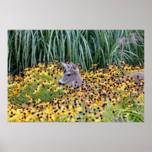 Deer Fawn in Flower Garden Posters