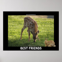Deer Fawn & Rabbit BEST FRIENDS Poster