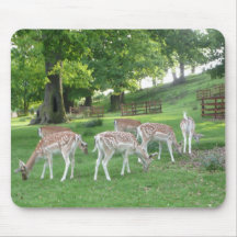 Deer feeding mouse pads