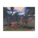 Deer Gathering Post Card