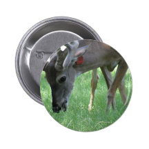 Deer Grazing Button
