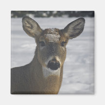 Deer Head Magnet