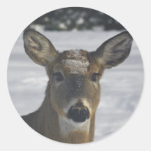 Deer Head Sticker