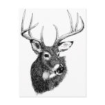 deer headgif