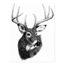 deer headgif postcards