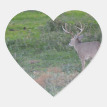 deer heart sticker