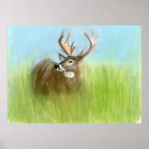 Deer in Grass Poster