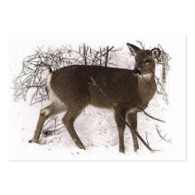 Deer in Snow ATC Business Cards
