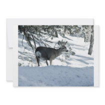 deer in snow invitation