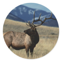 Deer in the Country Sticker