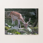 Deer in the Forest puzzles
