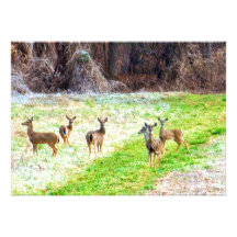Deer in the Frost Personalized Invitations