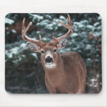 Deer in the Snow Mousepad