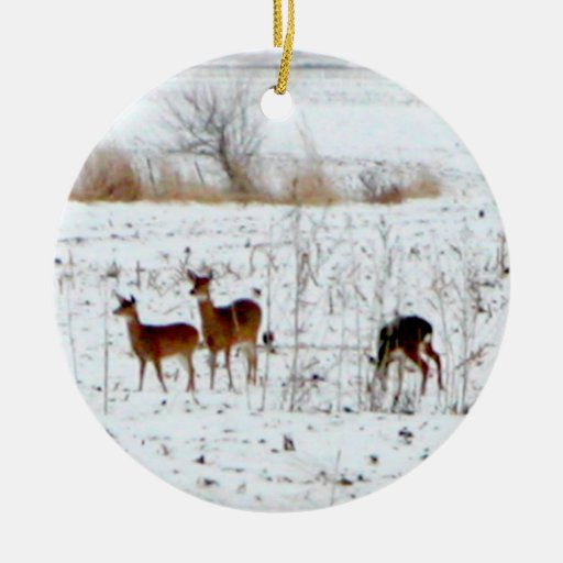 Deer In the snow Ornaments