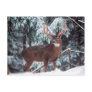 Deer in the Snow Postcard