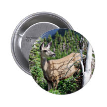 Deer in the Woods Buttons