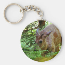 Deer in the Woods Key Chains
