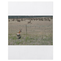 deer  in wild flyer