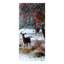 Deer in Winter Custom Rack Card