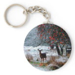 Deer in Winter