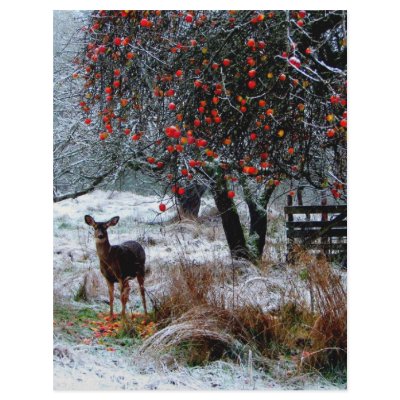 Deer in Winter by fantasian_angel