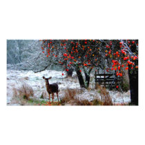 Deer in Winter