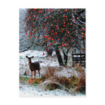 Deer in Winter