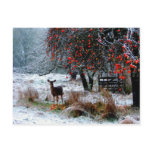 Deer in Winter