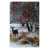 Deer in Winter