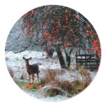 Deer in Winter