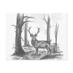 deer in woodsgif
