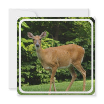 Deer Invitation