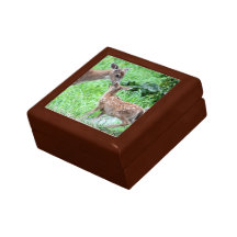 Deer Kissing Fawn Trinket Box