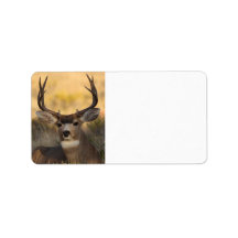 deer labels