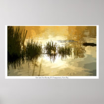 Deer Lake Park Sunrise Posterized
